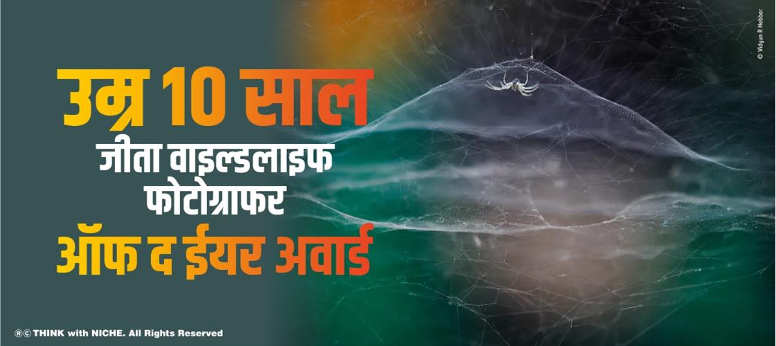 at-10-years-vidyun-r-hebbar-won-wildlife-photographer-of-the-year-award